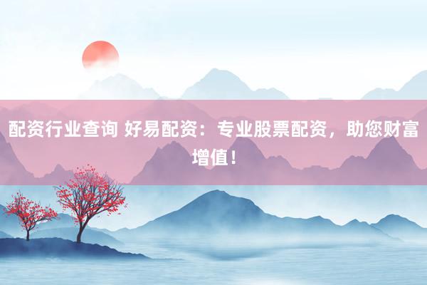 配资行业查询 好易配资：专业股票配资，助您财富增值！