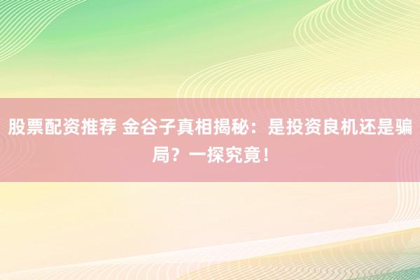 股票配资推荐 金谷子真相揭秘：是投资良机还是骗局？一探究竟！