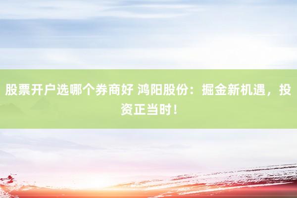 股票开户选哪个券商好 鸿阳股份：掘金新机遇，投资正当时！