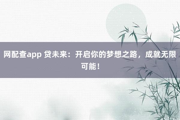 网配查app 贷未来：开启你的梦想之路，成就无限可能！